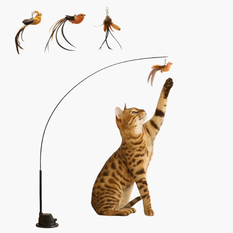 Fjäderleksaker för katt (3 Pack)