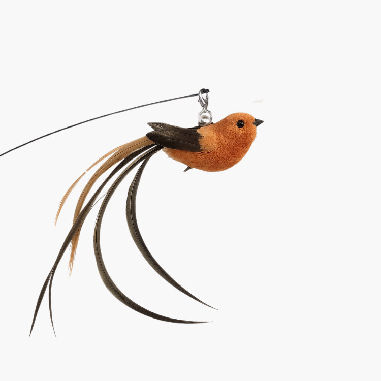 Exotiska Utbytbara fåglar till Jaktbågen (5 Pack)