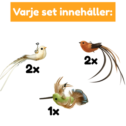 Exotiska Utbytbara fåglar till Jaktbågen (5 Pack)