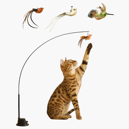 Exotiska Utbytbara fåglar till Jaktbågen (5 Pack)