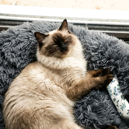 Fluffy - Den mjuka kattsängen som katter älskar