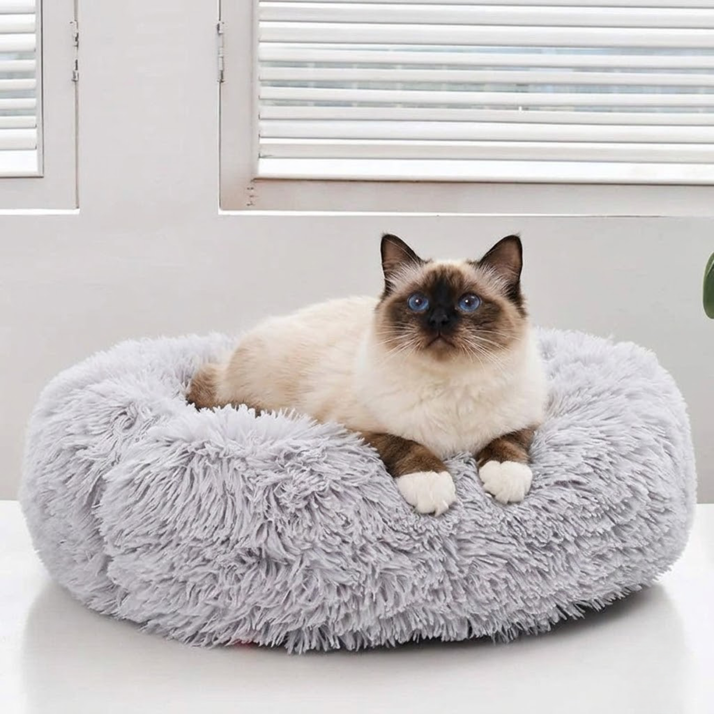 Fluffy - Den mjuka kattsängen som katter älskar