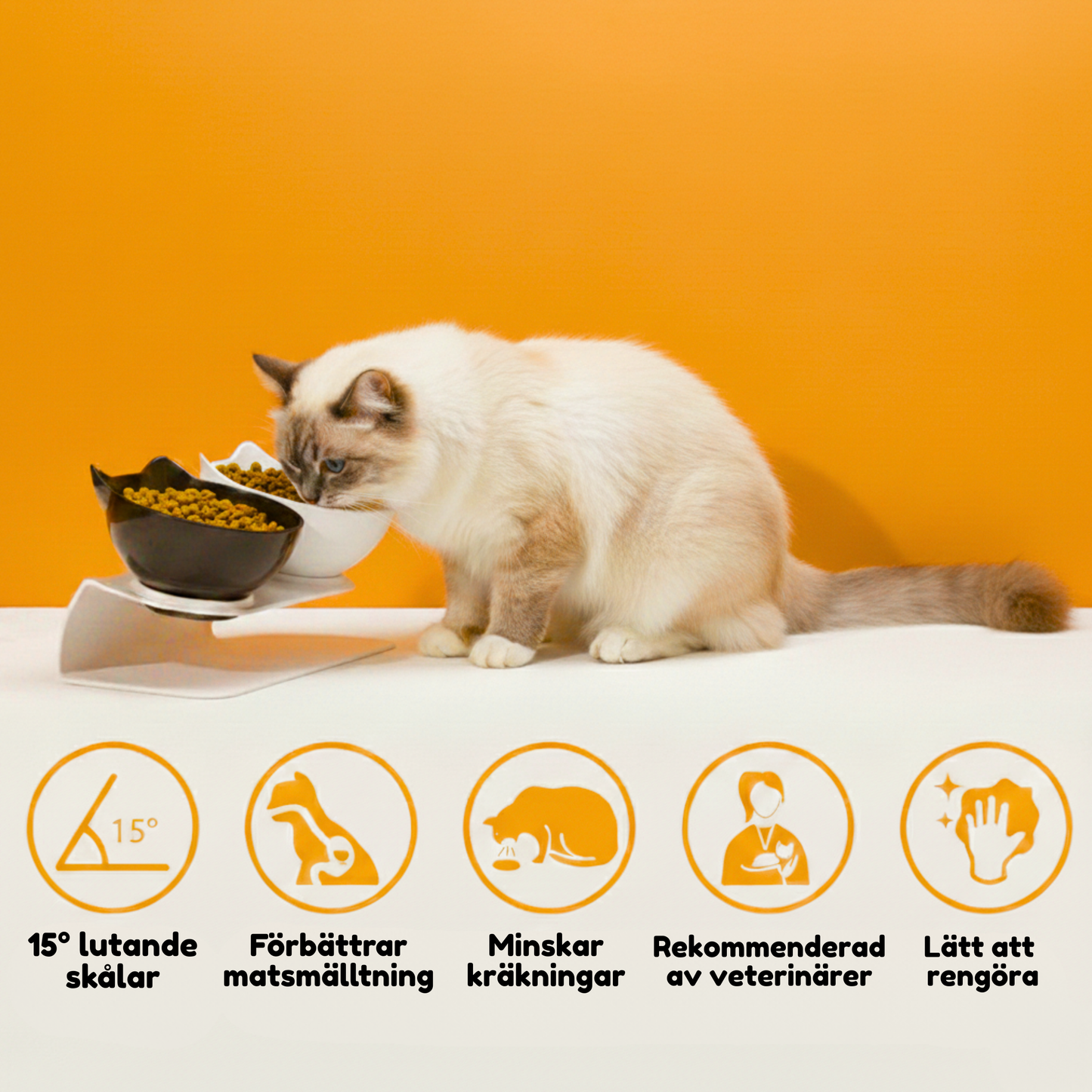 Anti-kräk skål för katter