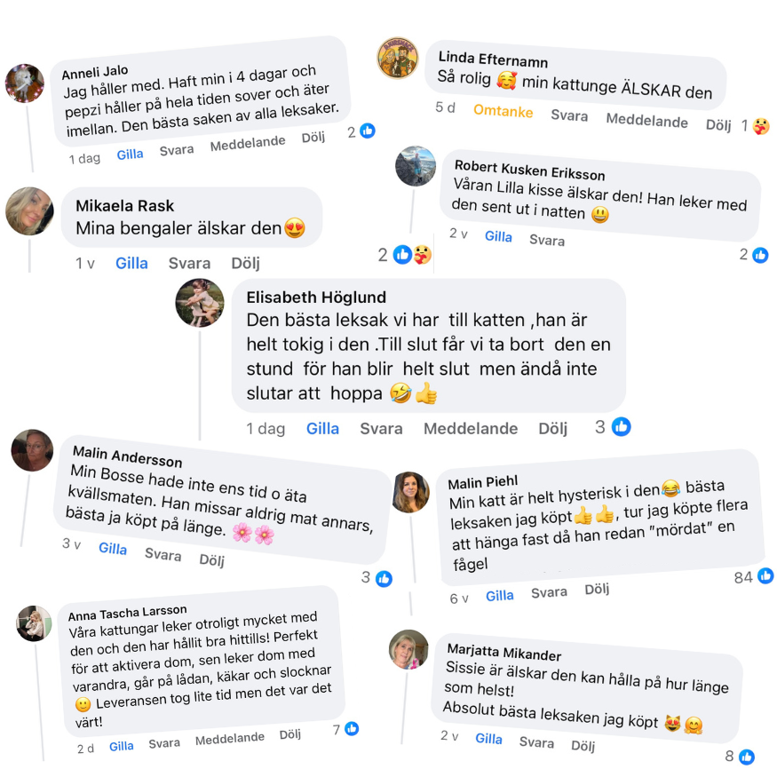 Jaktbågen - Aktiverar din katt på nolltid