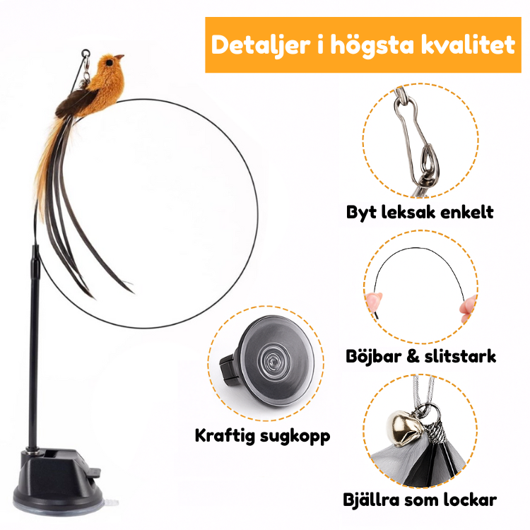 Jaktbågen - Aktiverar din katt på nolltid