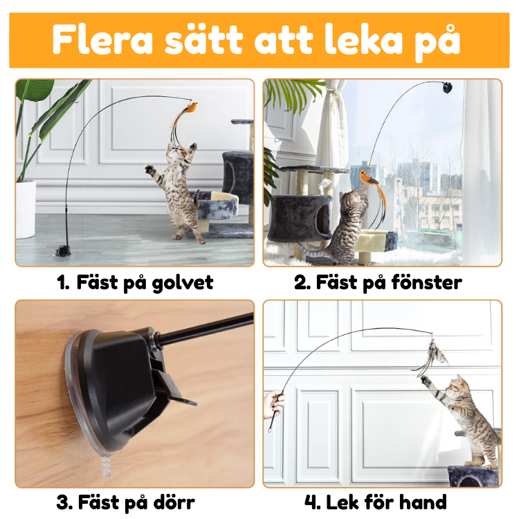Jaktbågen - Aktiverar din katt på nolltid