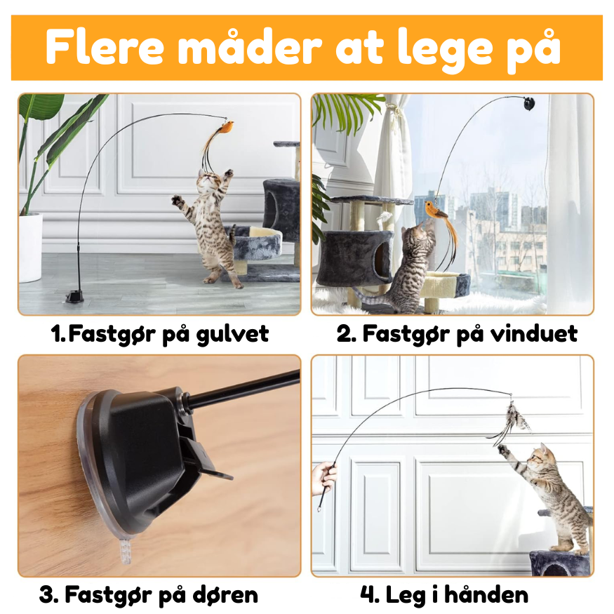 Jagtbuen – Aktiverer din kat på ingen tid